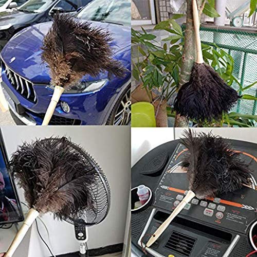 Genuine Ostrich Feather Duster Fluffy Natural with Wooden Handle and Eco-Friendly Reusable Handheld Cleaning Supplies, Gray and Brown(Length 16")