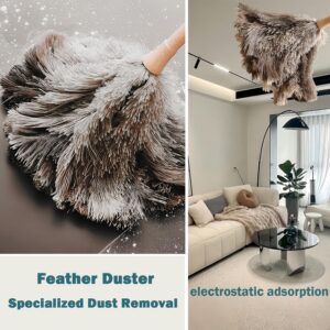 Genuine Ostrich Feather Duster Fluffy Natural with Wooden Handle and Eco-Friendly Reusable Handheld Cleaning Supplies, Gray and Brown(Length 16")