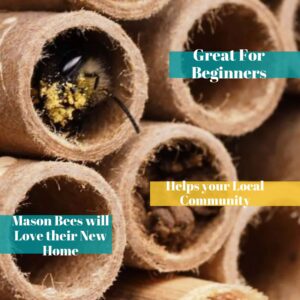 Mason Bee Tubes | 100 Pack of 6 inch Long by 5/16 Inner Diameter Hole Cardboard Bee House Tubes | Great Paper Refills or Inserts/Liners for a Bee House, Bee Condo, Hotel, or Nest