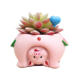 smallwoodicute ceramic/plastic plant flower pot,cute cat pig dog succulent plant container resin flower pot bonsai ornament - pig