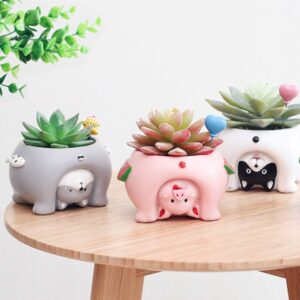 Smallwoodicute Ceramic/Plastic Plant Flower Pot,Cute Cat Pig Dog Succulent Plant Container Resin Flower Pot Bonsai Ornament - Pig