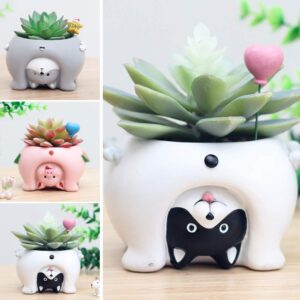 Smallwoodicute Ceramic/Plastic Plant Flower Pot,Cute Cat Pig Dog Succulent Plant Container Resin Flower Pot Bonsai Ornament - Pig