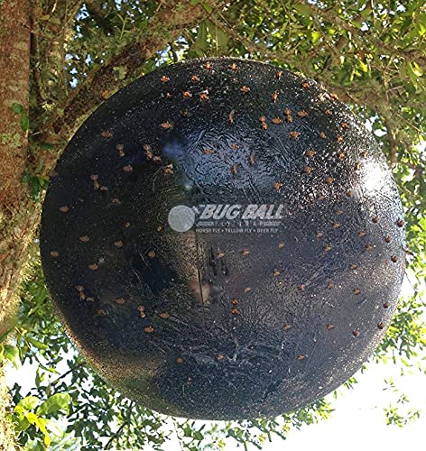 Bug Ball 3 Pack Deluxe Kit Complete- Odorless Eco-Friendly Biting Fly and Insect Killer with NO Pesticides or Electricity Needed, Kid and Pet Safe