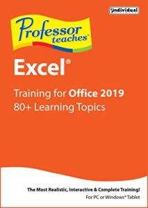 professor teaches excel 2019 [pc download]