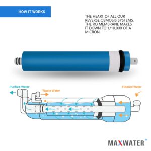 Max Water Set of 5 Filters Fits GE GXRV10AB01, FX12P FX12M, GXRM10G, GXRM10RBL RO Pre & Post Filter 50 GPD Membrane Filter, Reverse Osmosis Water Filter Combo Pack