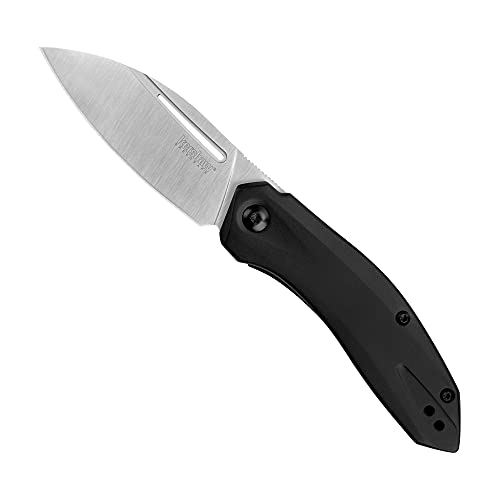 Kershaw Turismo Leaf Blade Pocket Knife 2.9 inch Blade, Assisted Opening Frame Lock, 5505, Black, 2.8 Ounce