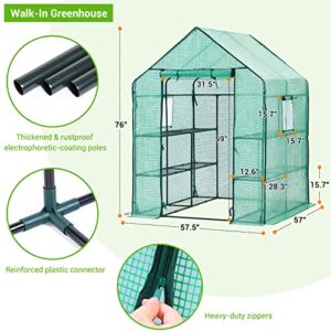 Greenhouse for Outdoors with Screen Windows, Ohuhu Walk in Plant Greenhouses Heavy Duty with Durable PE Cover, 3 Tiers 12 Shelves Stands 4.8x4.8x6.3 FT Plastic Portable Green House with Shelf Clips