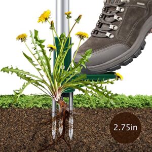 Ohuhu Stand-Up Weeder and Root Removal Tool with 3 Stainless Steel Claws, 39" Long Reinforced Aluminum Alloy Pole Manual Ruderal Remover Weed Puller Hand Tool with High Strength Foot Pedal