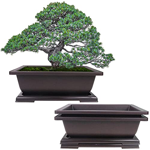 MUZHI 3PCS Large Rectangular Bonsai Tree Pots Planters with Tray 10"