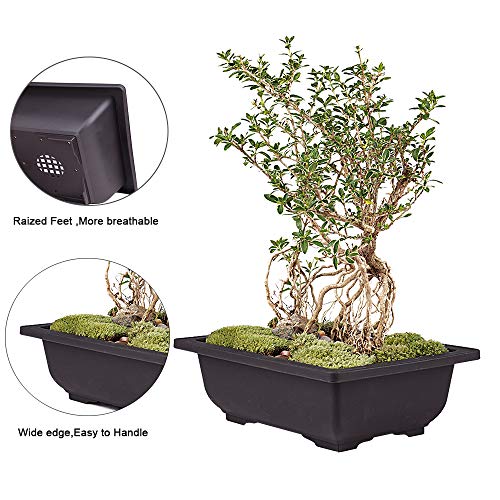 MUZHI 3PCS Large Rectangular Bonsai Tree Pots Planters with Tray 10"