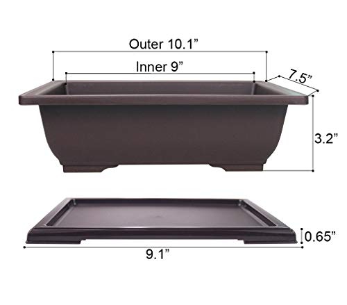 MUZHI 3PCS Large Rectangular Bonsai Tree Pots Planters with Tray 10"