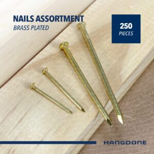 HangDone Nails Assortment 250-Pieces 4 Sizes, Brass Plated