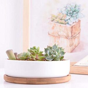 Lawei 3 Pack 6 inch Round Succulent Cactus Planter Pots with Drainage Bamboo Tray - Garden Ceramic Flower Planter Pot