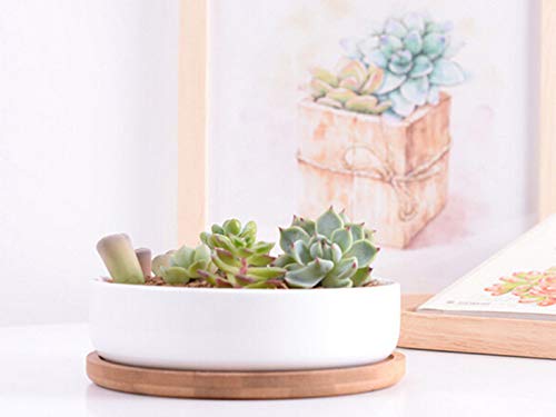 Lawei 3 Pack 6 inch Round Succulent Cactus Planter Pots with Drainage Bamboo Tray - Garden Ceramic Flower Planter Pot