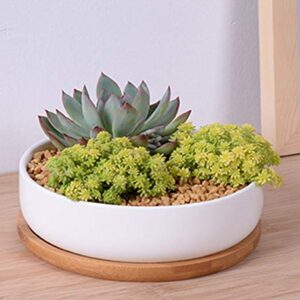 Lawei 3 Pack 6 inch Round Succulent Cactus Planter Pots with Drainage Bamboo Tray - Garden Ceramic Flower Planter Pot