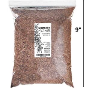 Natural Sphagnum Peat Moss (1 Quart), Gardening Soil additive and Carnivorous Plant Soil Media