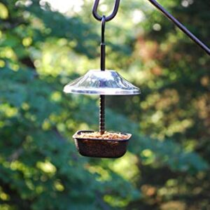 Mealworms Bird Feeder | 5 x 5 inch Powder Coated Mesh Bowl with Adjustable Stainless Steel Roof