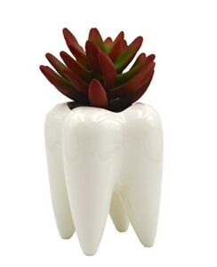 4.7" tooth planter pot/bonsai pot/succulent planter/pencil cup/toorhbrush holder 3d shaped multipurpose