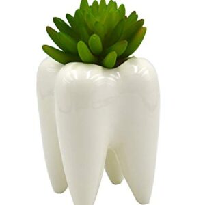 4.7" Tooth Planter Pot/Bonsai Pot/Succulent Planter/Pencil Cup/Toorhbrush Holder 3D Shaped Multipurpose