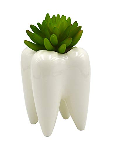 4.7" Tooth Planter Pot/Bonsai Pot/Succulent Planter/Pencil Cup/Toorhbrush Holder 3D Shaped Multipurpose
