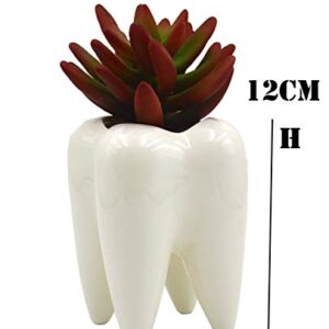 4.7" Tooth Planter Pot/Bonsai Pot/Succulent Planter/Pencil Cup/Toorhbrush Holder 3D Shaped Multipurpose