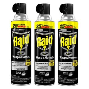Raid Wasp and Hornet Killer, 17.5 OZ (Pack - 3)