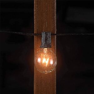 Beams 5W G40 Globe Bulb Incandescent Weatherproof Indoor/Outdoor String Lights, 25 feet, Black