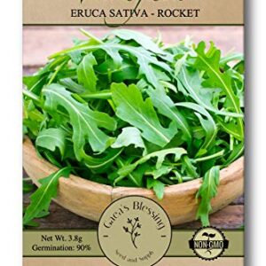 Gaea's Blessing Seeds - Arugula Seeds -2000 Seeds - Roquette Rocket Heirloom - Non-GMO Seeds with Easy to Follow Planting Instructions - 90% Germination Rate (Pack of 1)