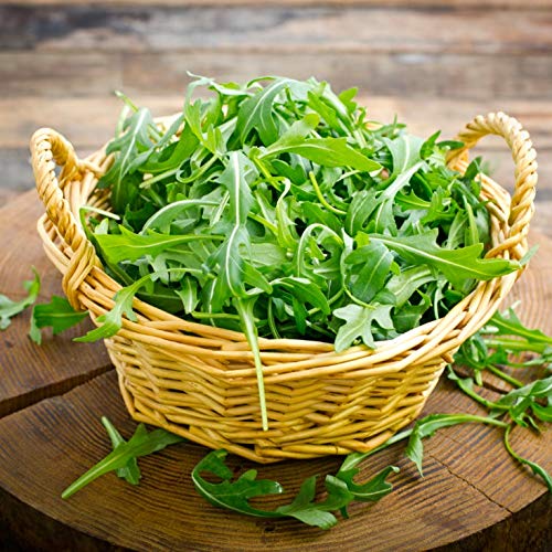 Gaea's Blessing Seeds - Arugula Seeds -2000 Seeds - Roquette Rocket Heirloom - Non-GMO Seeds with Easy to Follow Planting Instructions - 90% Germination Rate (Pack of 1)