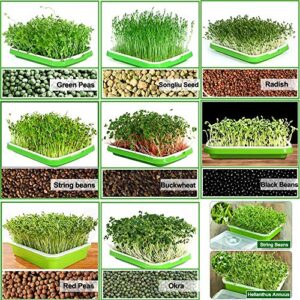 2 Pack of BPA Free Home Microgreen Soilless Hydroponics Seed Sprouter Grow Tray with Cover + Free Spray Bottle and 20 Sheets Growing Paper