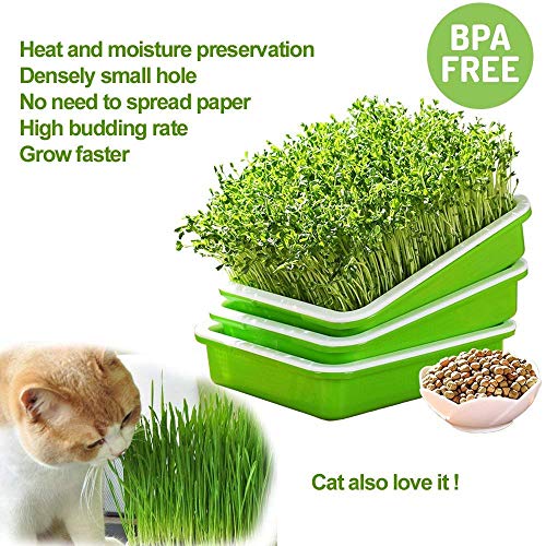 2 Pack of BPA Free Home Microgreen Soilless Hydroponics Seed Sprouter Grow Tray with Cover + Free Spray Bottle and 20 Sheets Growing Paper