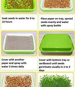 2 Pack of BPA Free Home Microgreen Soilless Hydroponics Seed Sprouter Grow Tray with Cover + Free Spray Bottle and 20 Sheets Growing Paper