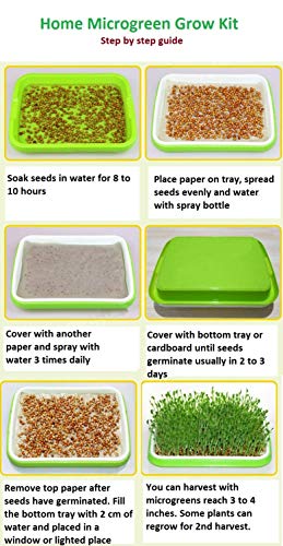 2 Pack of BPA Free Home Microgreen Soilless Hydroponics Seed Sprouter Grow Tray with Cover + Free Spray Bottle and 20 Sheets Growing Paper