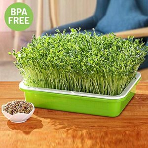 2 Pack of BPA Free Home Microgreen Soilless Hydroponics Seed Sprouter Grow Tray with Cover + Free Spray Bottle and 20 Sheets Growing Paper