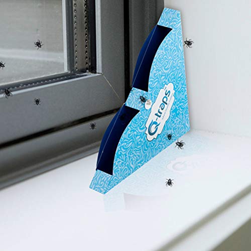 Qtraps Window Fly Traps | Disposable Indoor Fly Catchers w/Non-Toxic Sticky Glue & Decorative Blue Design | Fold Box & Place in Corner of Sill to Catch & Hide Flying Pests (12 Traps)