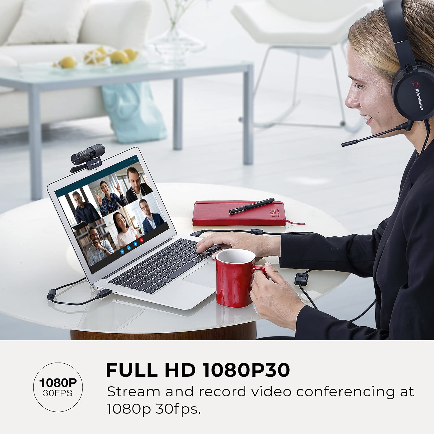 AVerMedia Live Streamer Cam 313 - Full HD 1080P Webcam with Privacy Shutter, Dual Microphone, 360 Degree Swivel for Video Conference - NDAA Compliant (PW313)