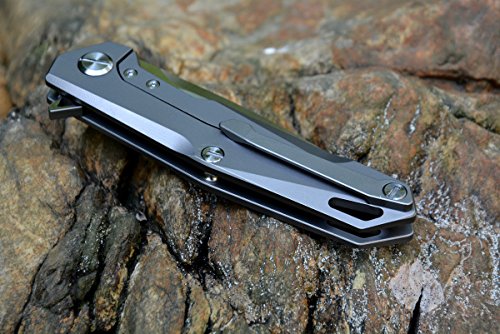 Twosun TS21 Pocket Knife D2 Blade Titanium Handle Drop Point Razor sharp