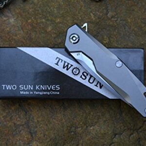 Twosun TS21 Pocket Knife D2 Blade Titanium Handle Drop Point Razor sharp