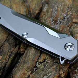 Twosun TS21 Pocket Knife D2 Blade Titanium Handle Drop Point Razor sharp