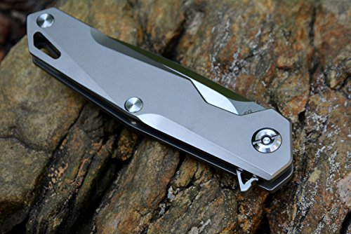 Twosun TS21 Pocket Knife D2 Blade Titanium Handle Drop Point Razor sharp