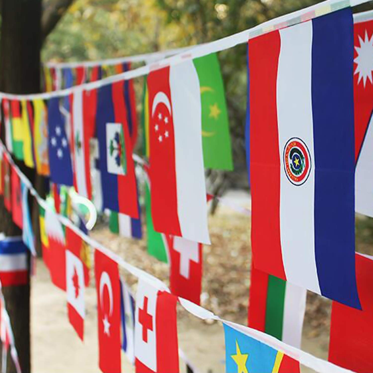 Anley 184Ft 200 Countries String Flag - International Bunting Banners for Party Decorations, Bars, Sports Clubs, School Festivals, Celebrations - 8" x 5", 200 Flags, 184 Feet