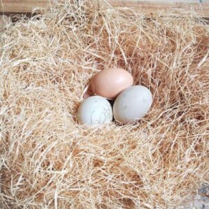 BWOGUE 100g/3.5oz Natural Grass Nesting Pads for Chicken Hens Birds Nest Bedding