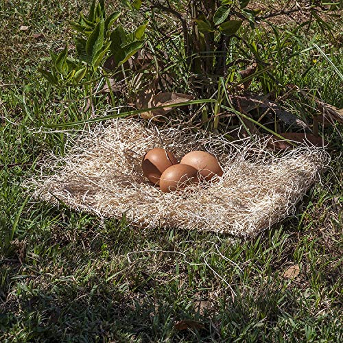 BWOGUE 100g/3.5oz Natural Grass Nesting Pads for Chicken Hens Birds Nest Bedding