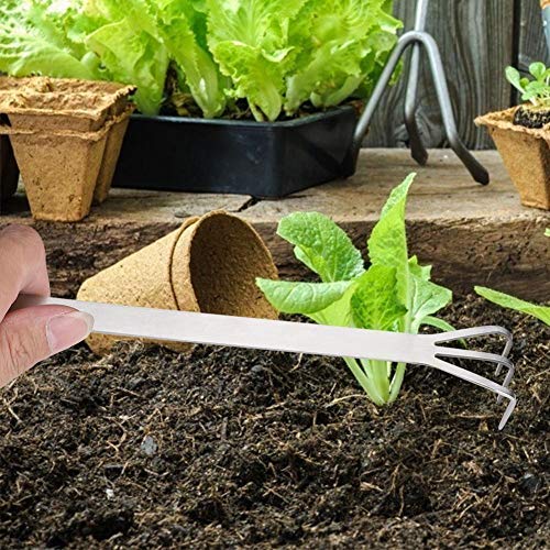 Gardening Rake, 2 in 1 Stainless Steel 3-Prong Loosen Soil Bonsai Tree Gardening Tool Root Rake and Spatula Patio Lawn Garden