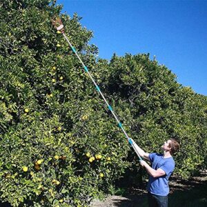 COCONUT Fruit Picker Tool, Fruit Picker with Basket and Pole Easy to Assemble & Use Fruits Catcher Tree Picker for Getting Fruits(5ft)