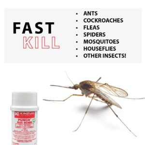 Punch Bug Bomb | 100% Kills Mosquitoes, Cockroaches, Fleas, Ants, Houseflies & More | Commercial-Grade Fogger | Easy-to-Use | Non-Staining, Water-Base Formula (6 oz Each) (1 Each)