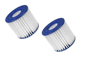 polygroup summer waves i type filter cartridge - 2 pack