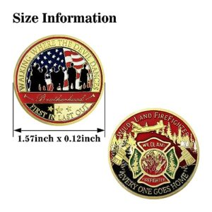 US Wildland Firefighter Souvenir Badges Emblem Gift for Wasteland Hero Fireman