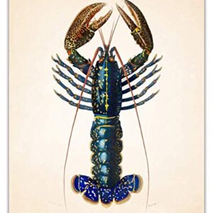 Vintage Crimson Crawfish Illustration Wall Art Print: 11x14 Unframed Wall Poster for Home, Office, Dorm, Bedroom, Studio & Man Cave Room Decor - Chic Home Decor & Creative Housewarming Gift Idea