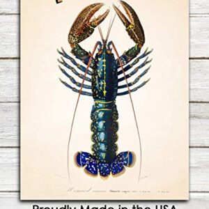 Vintage Crimson Crawfish Illustration Wall Art Print: 11x14 Unframed Wall Poster for Home, Office, Dorm, Bedroom, Studio & Man Cave Room Decor - Chic Home Decor & Creative Housewarming Gift Idea